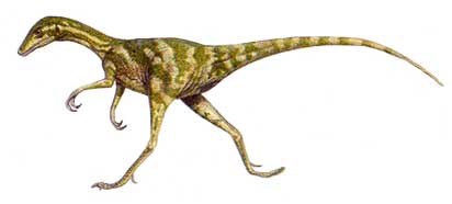 Информация о компсогнат: динозавр compsognathus