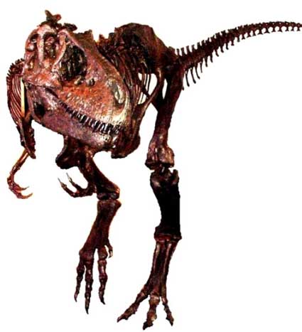 Альбертозавр
