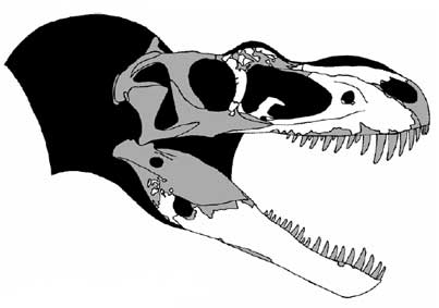 Аппалахиозавр