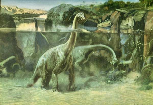 Картинки по запросу Брахиозавр