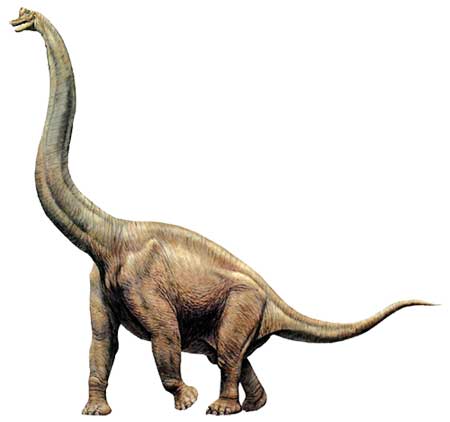 Картинки по запросу Брахиозавр
