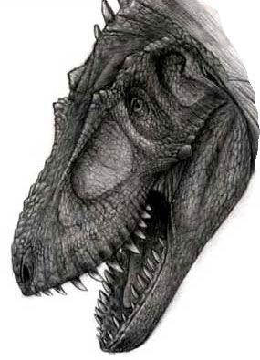 Дасплетозавр