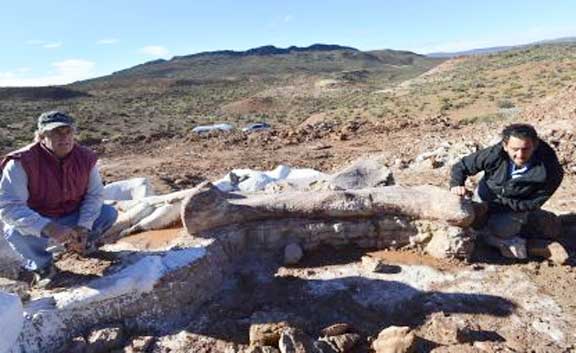 находка в Аргентине останков гигантского динозавра
