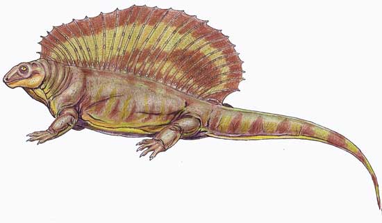 эдафозавр