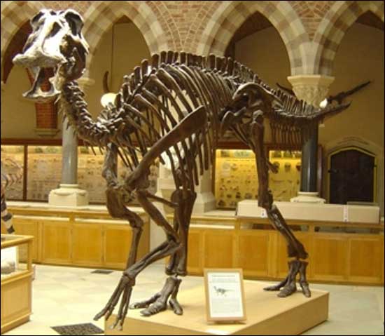 Эдмонтозавр