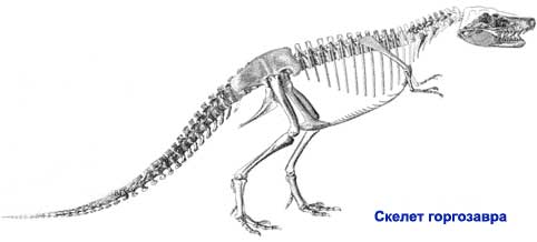Горгозавр