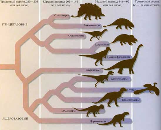 Группы динозавров