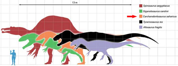 кархародонтозавр