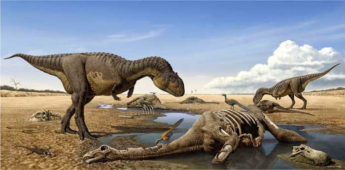 Майюнгазавр (Majungasaurus crenatissimus)