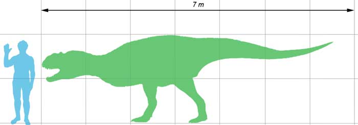 Майюнгазавр (Majungasaurus crenatissimus)
