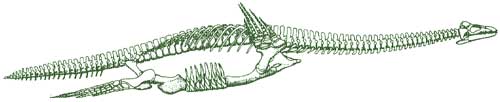 плезиозавр
