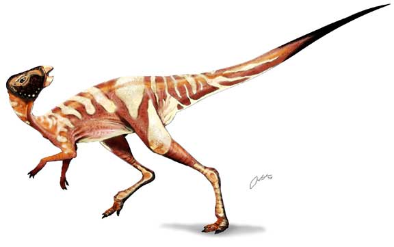 Ваньнанозавр (Wannanosaurus)