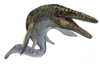 Мозазавр (Mosasaurus)