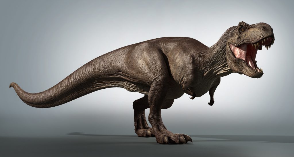 T rex фото динозавр