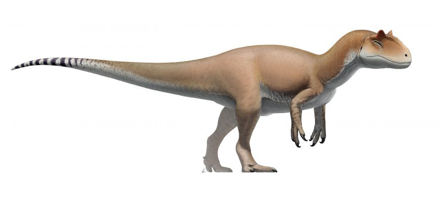 Аллозавр (Allosaurus)