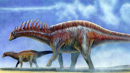 Амаргазавр (Amargasaurus)