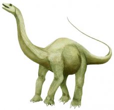 Апатозавр (Apatosaurus)
