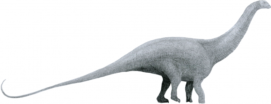 Бронтозавр (Brontosaurus)