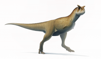 Карнотавр (Carnotaurus sastrei)