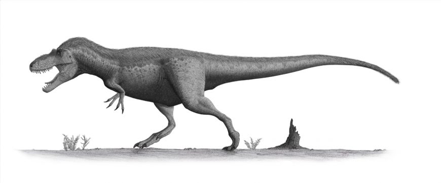 Дасплетозавр (Daspletosaurus)