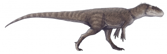 Горгозавр (Gorgosaurus)