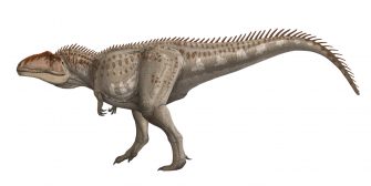 Гиганотозавр (Giganotosaurus)