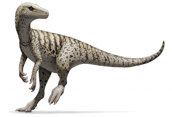 Геррерозавр (Herrerasaurus)