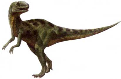 Янхуанозавр (Yangchuanosaurus)