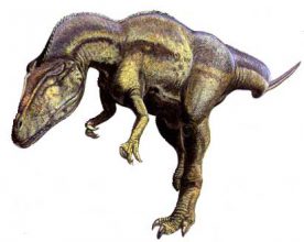 Кархародонтозавр (Carcharodontosaurus)