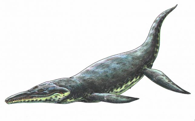 Самый крупный из найденных в Британии плиозавров
