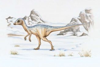 Динозавры - жертвы похолодания