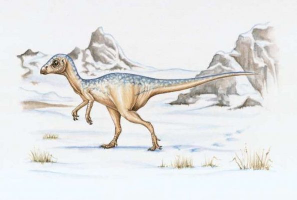 Динозавры - жертвы похолодания