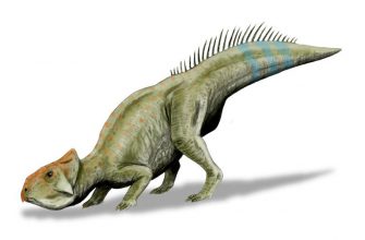 Лептоцератопс (Leptoceratops)