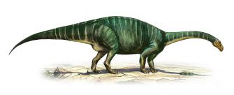 Платеозавр (Plateosaurus)