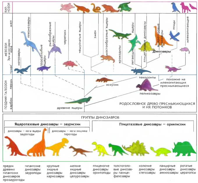 Картинки виды динозавров с названиями (58 фото)