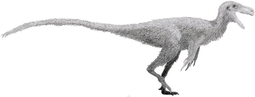 Стокесозавр (Stokesosaurus)