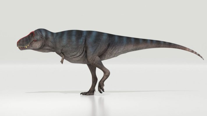 С какой скоростью передвигался тираннозавр?
