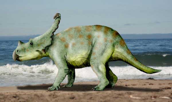Вагацератопс (Vagaceratops)